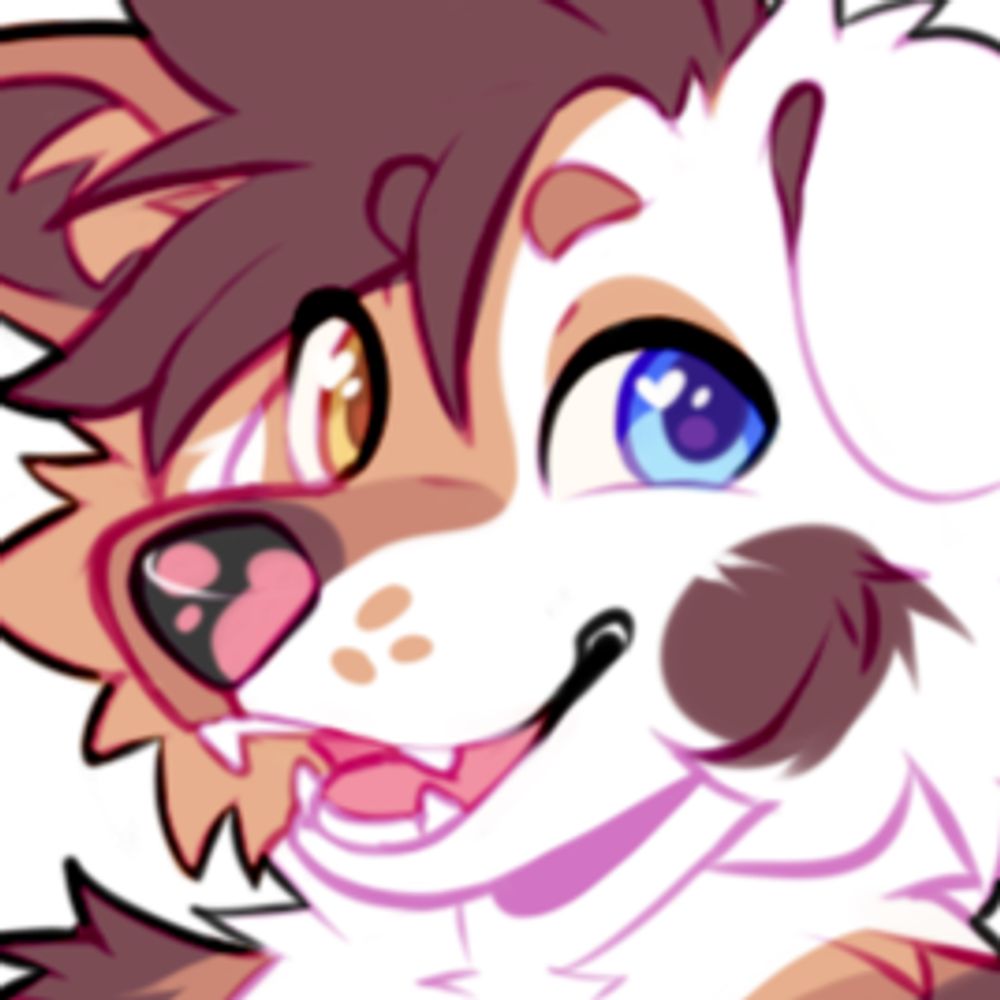 Allie! 🐾 🔜 MFF