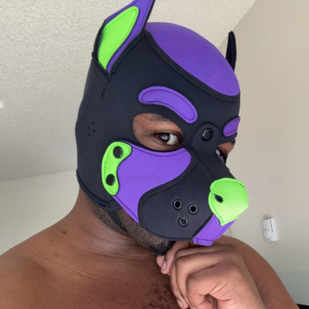 Pup Vortex: YOUR Microwavable Thotpocket 🔜 Camp K9