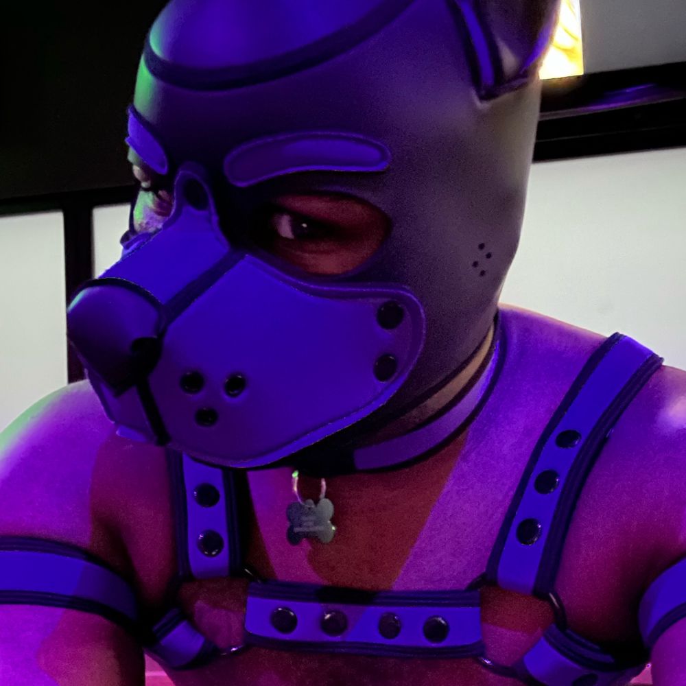 Pup Vortex: A Microwavable Thotpocket's avatar