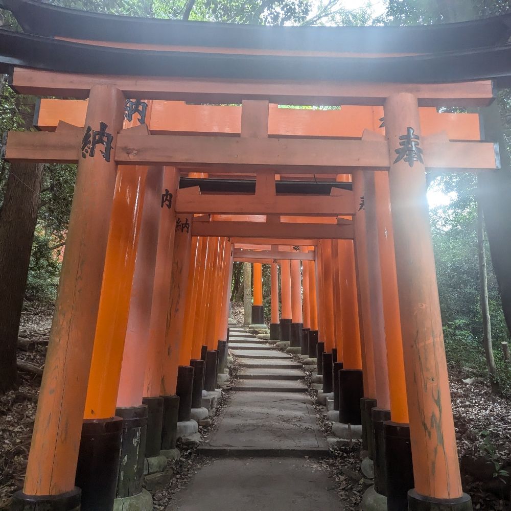 ててて。