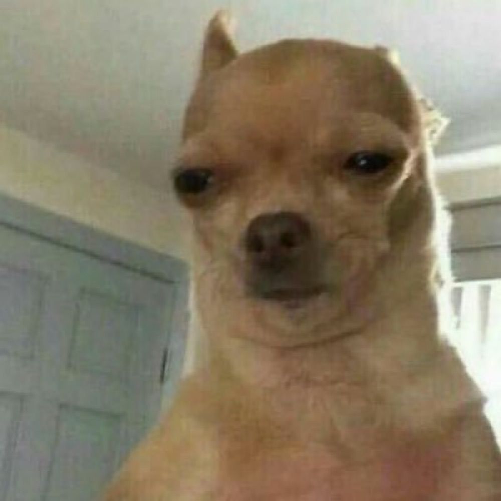 쿠
