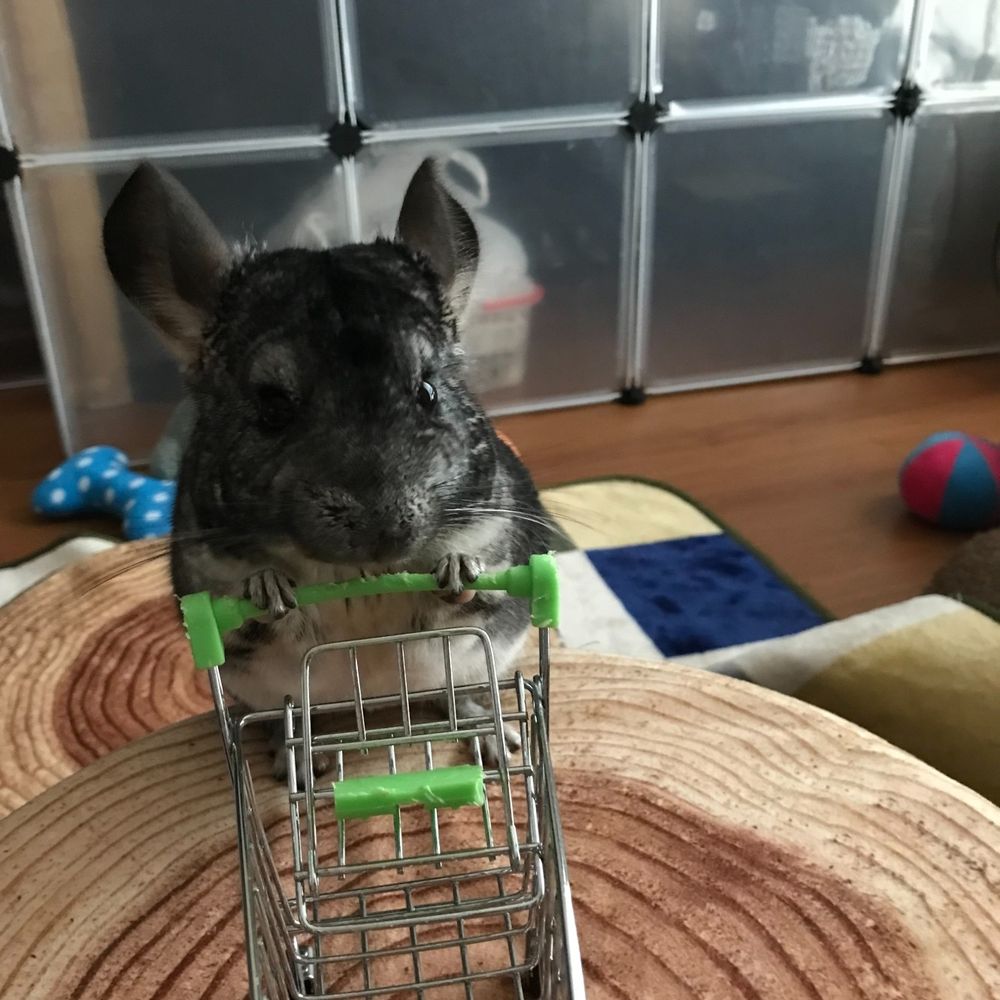 ぺれそそ