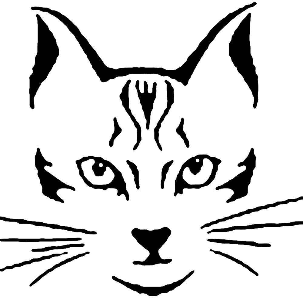 Profile picture realcruzancats.bsky.social