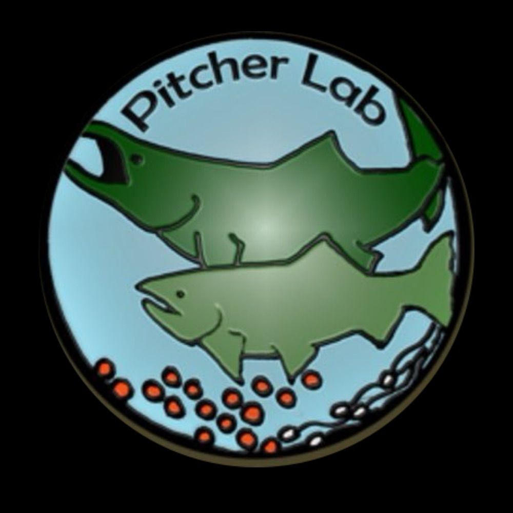 Pitcher Lab