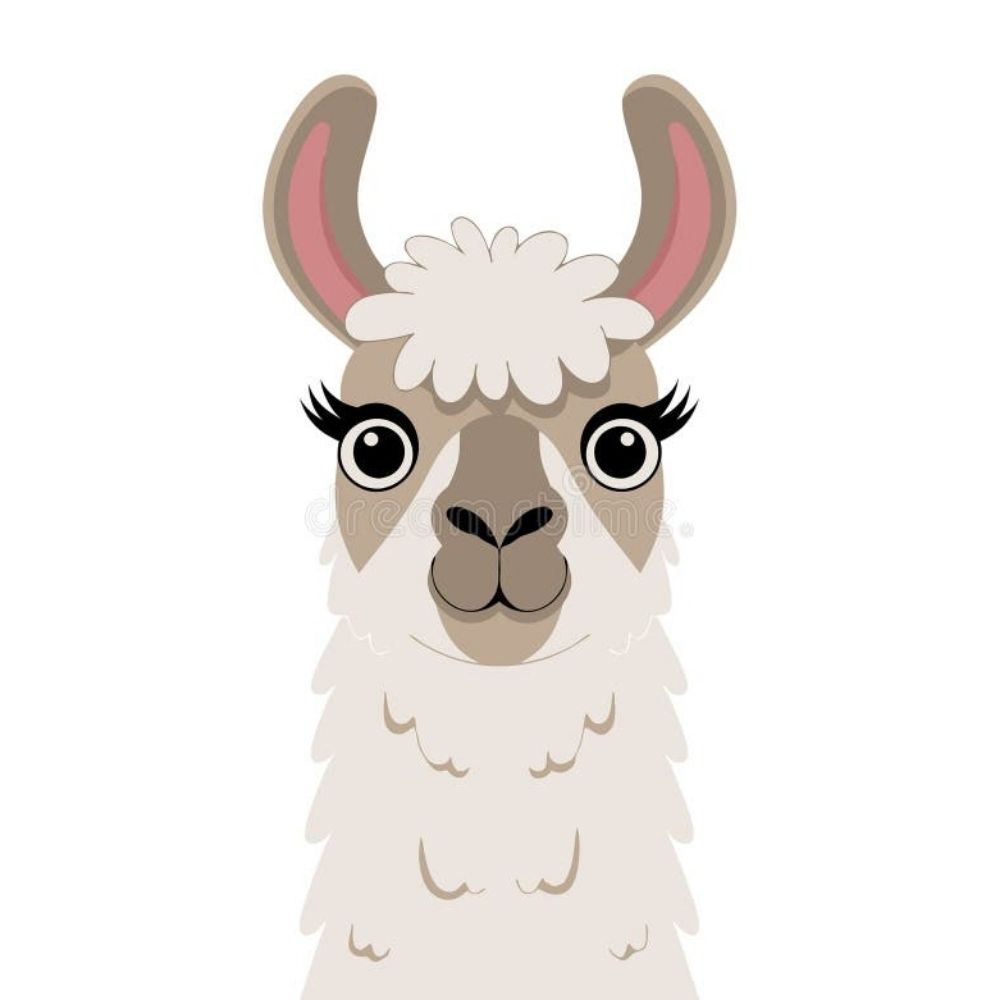 Profile picture llamamama1025.bsky.social