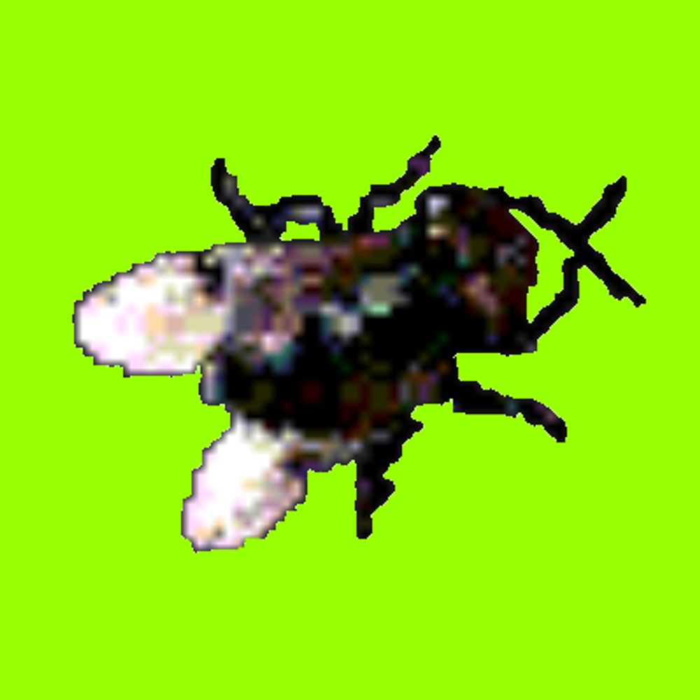 🪰ᄃΛᄂI🪰