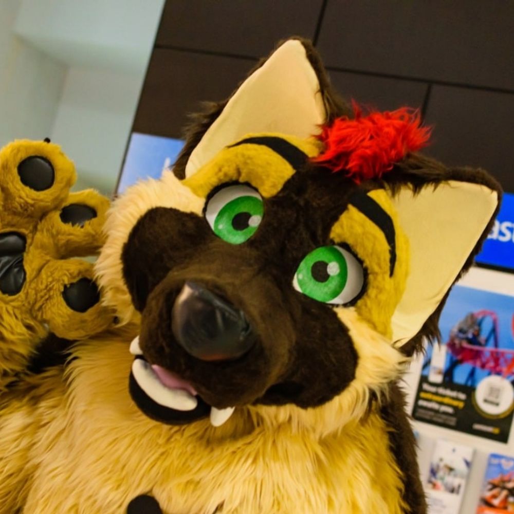 🐾Shepsky