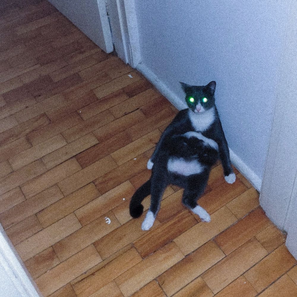 Danilo 