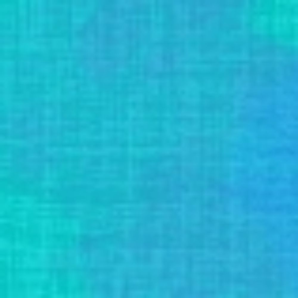 ろじ