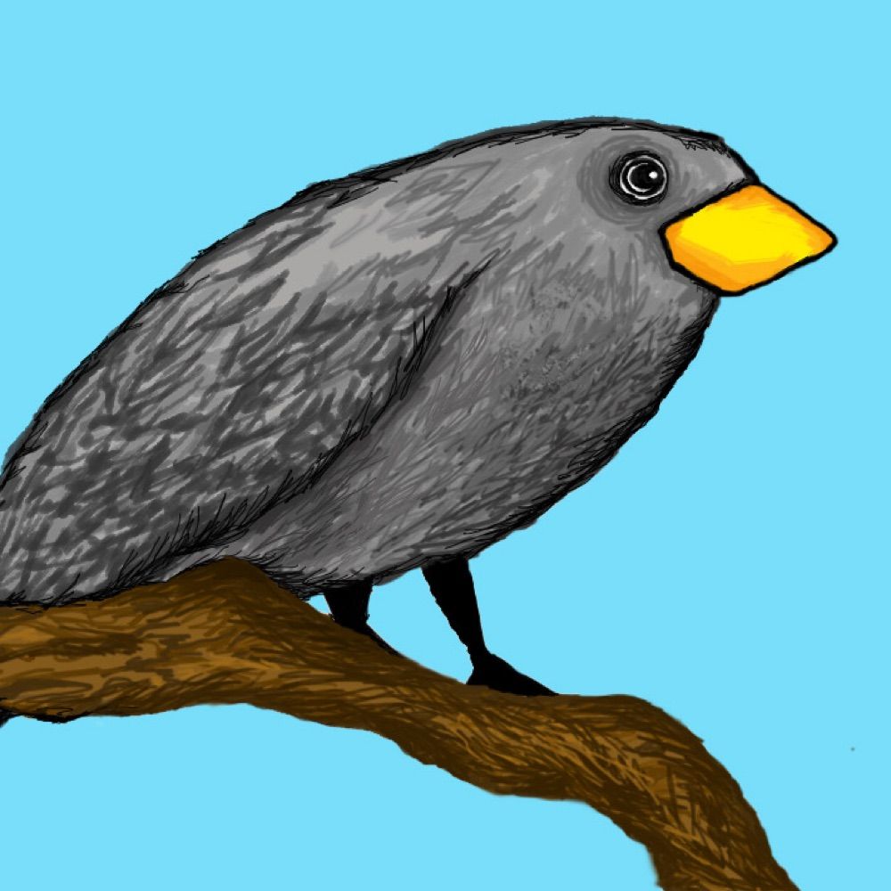 A Medium-Sized Ground Finch