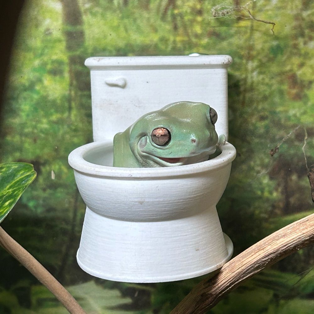 froggot