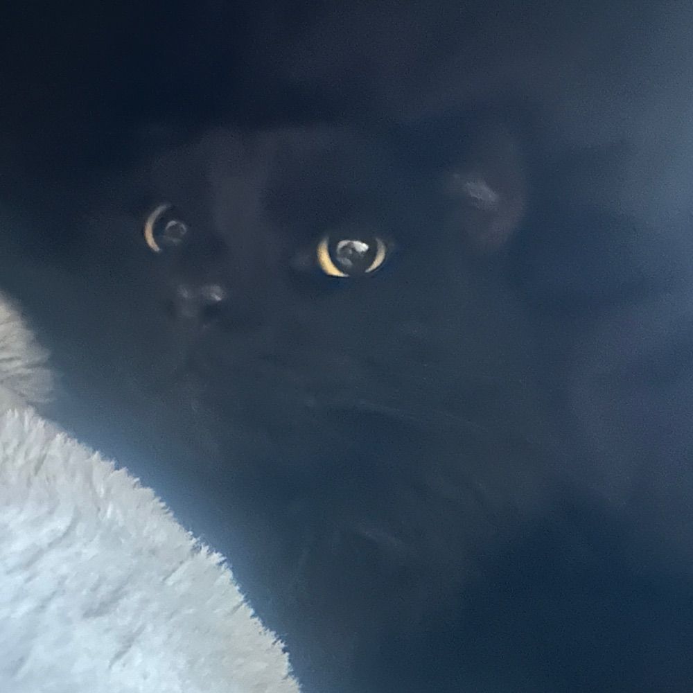 Julie