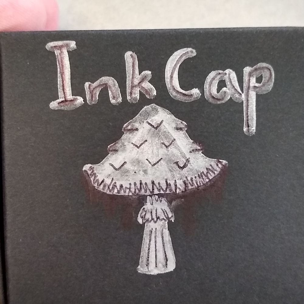Inkcap | Spooky and Botanical
