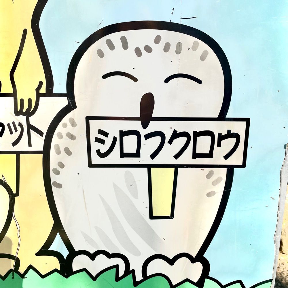 🦉