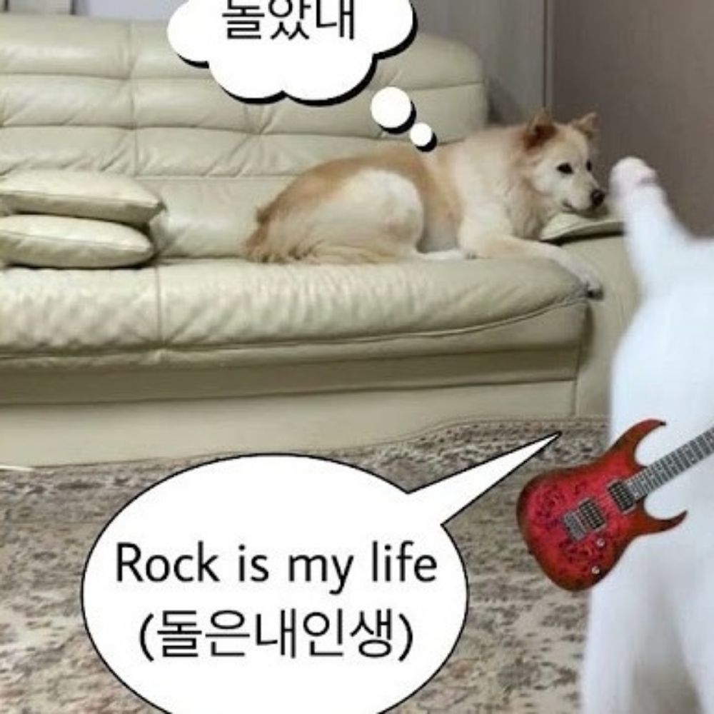 파리오스