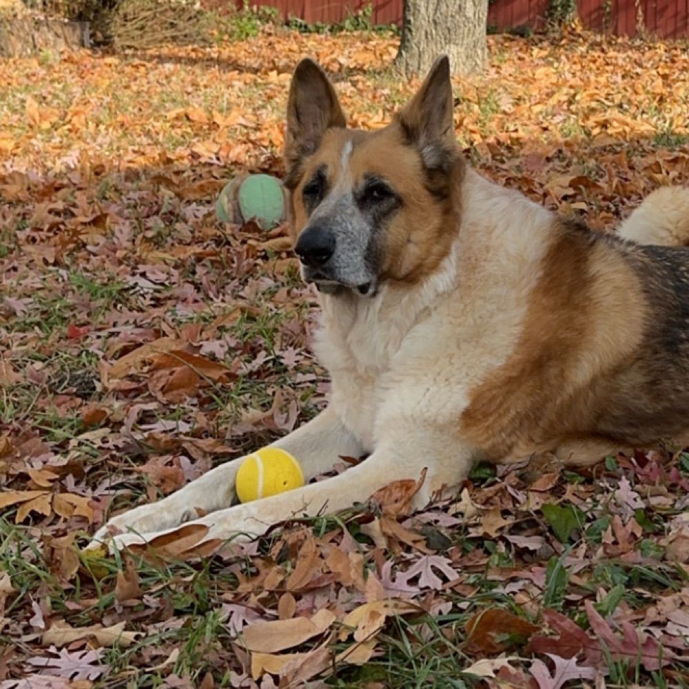 max