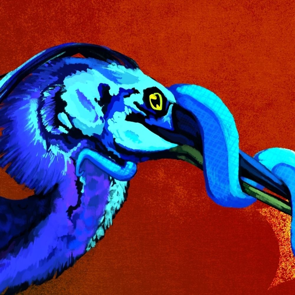 layofgray.bsky.social