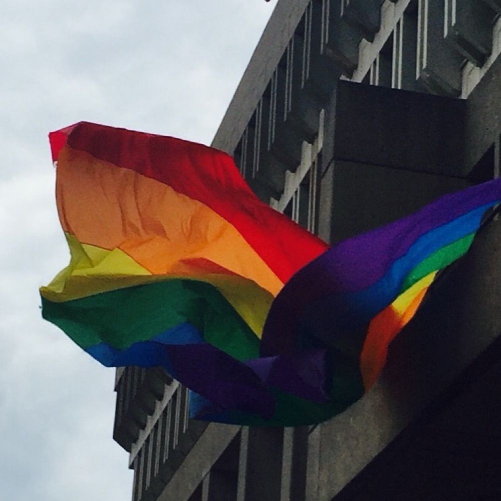 APSA LGBTQ Caucus