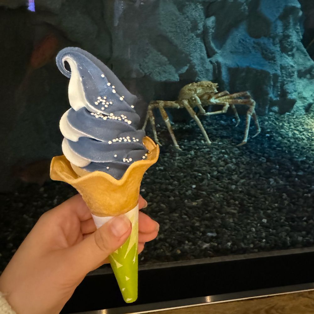 タカアシガニとソフトクリーム