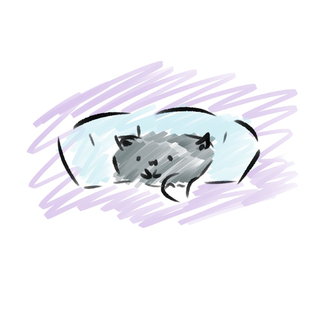 Cloudyflos