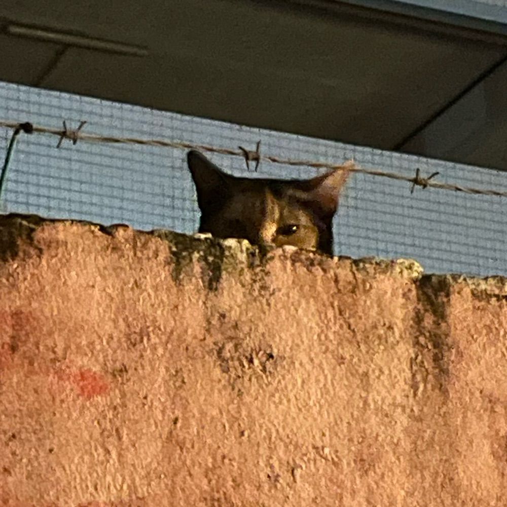 Marizinha