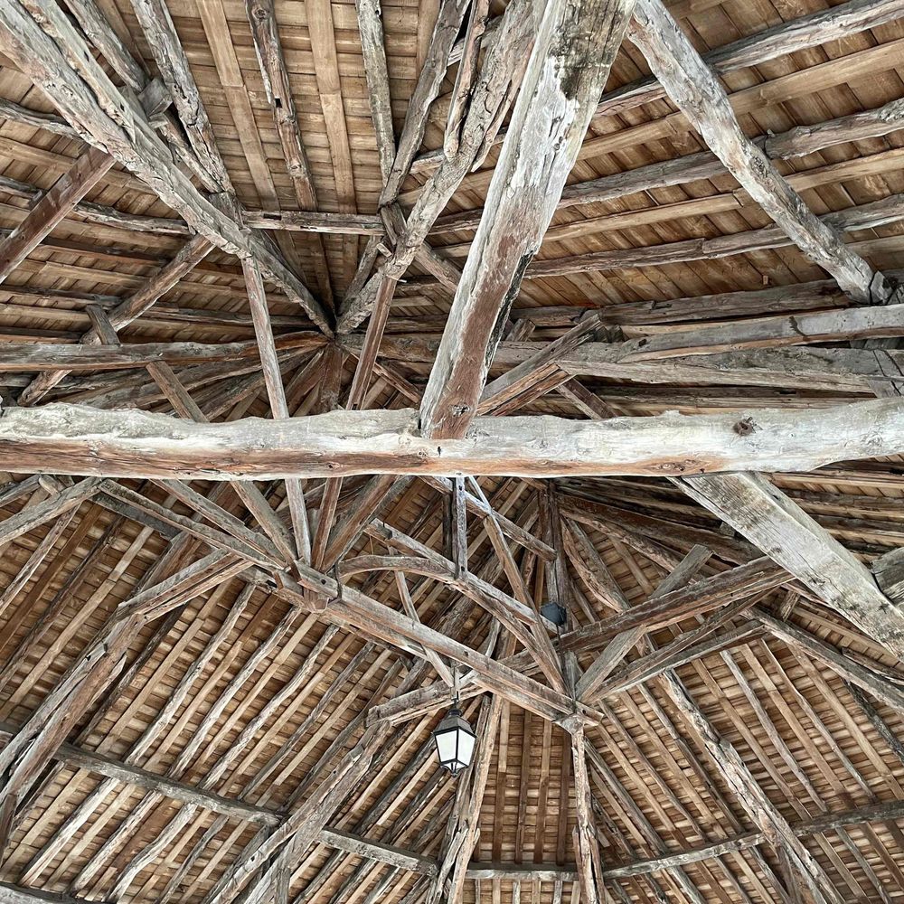 tolkas