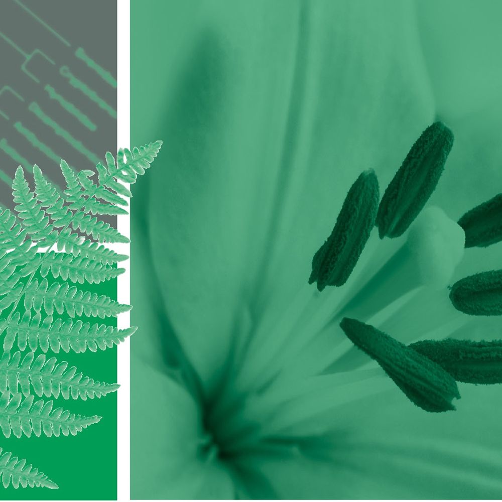 Botanical Journal of the Linnean Society