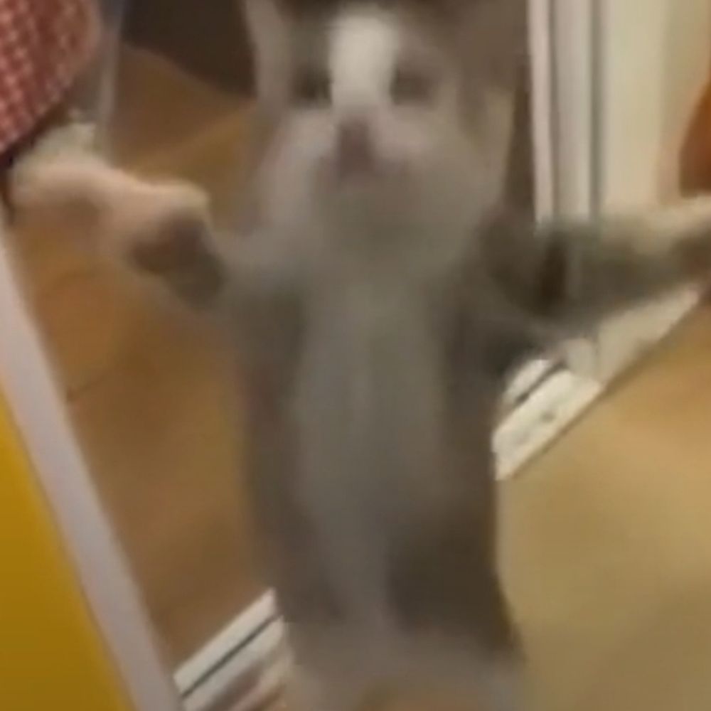 Febrie