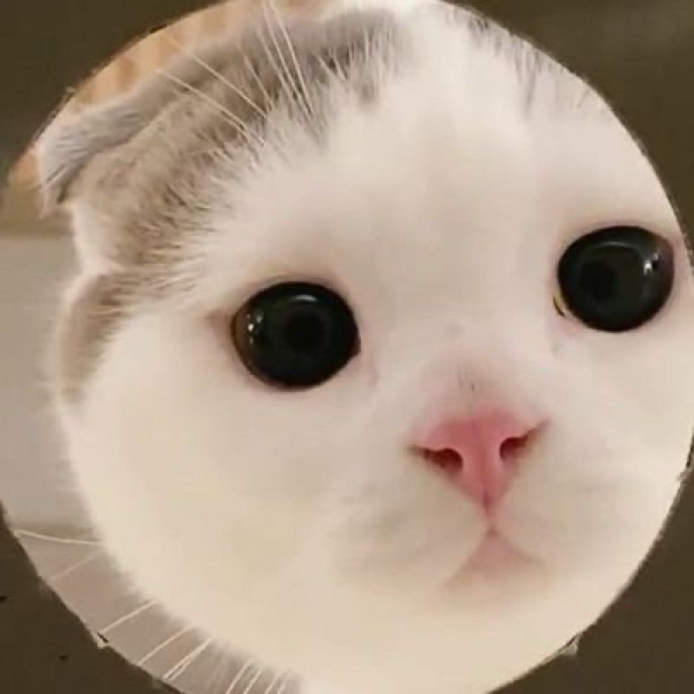 Chenxiaoqing