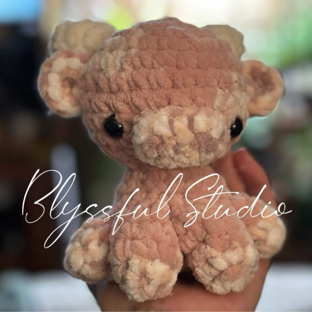Lyssa | Blyssful Studio