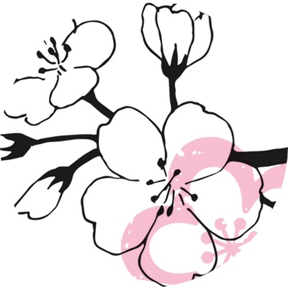 柳