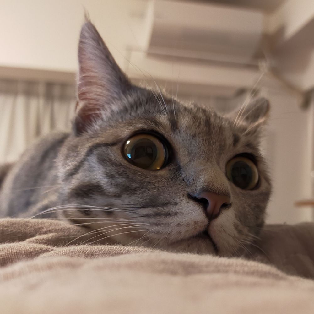 そよっぷ