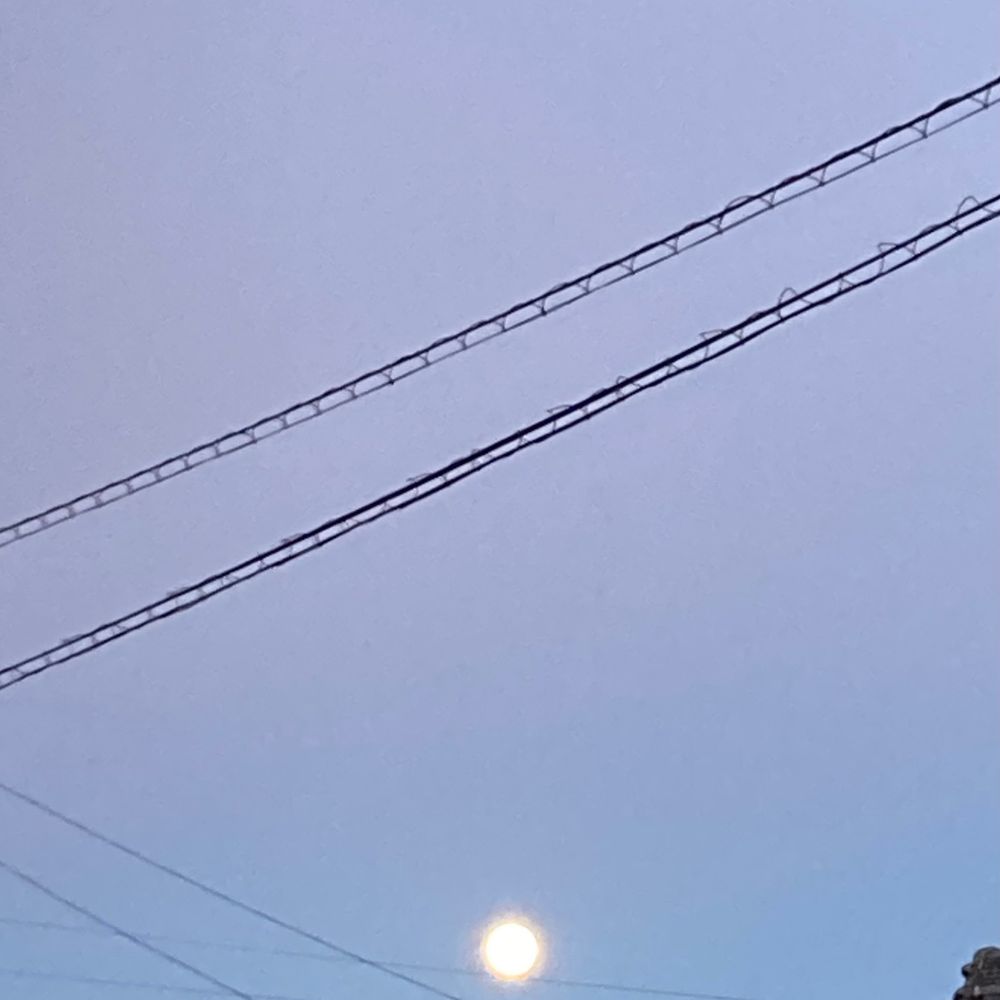 ほしお
