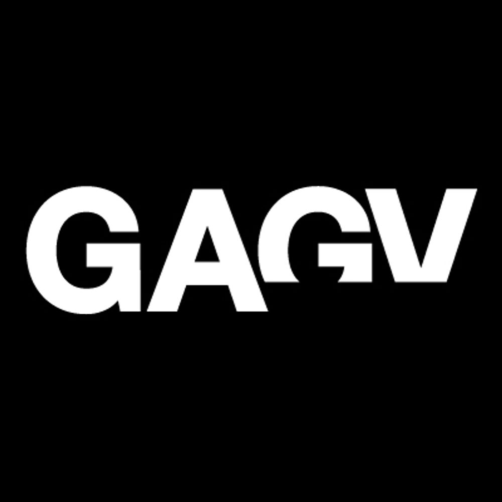 Global Action on Gun Violence (GAGV)