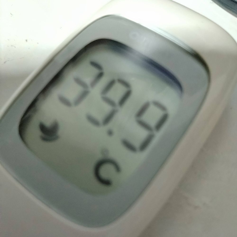 みやびとかみきとか