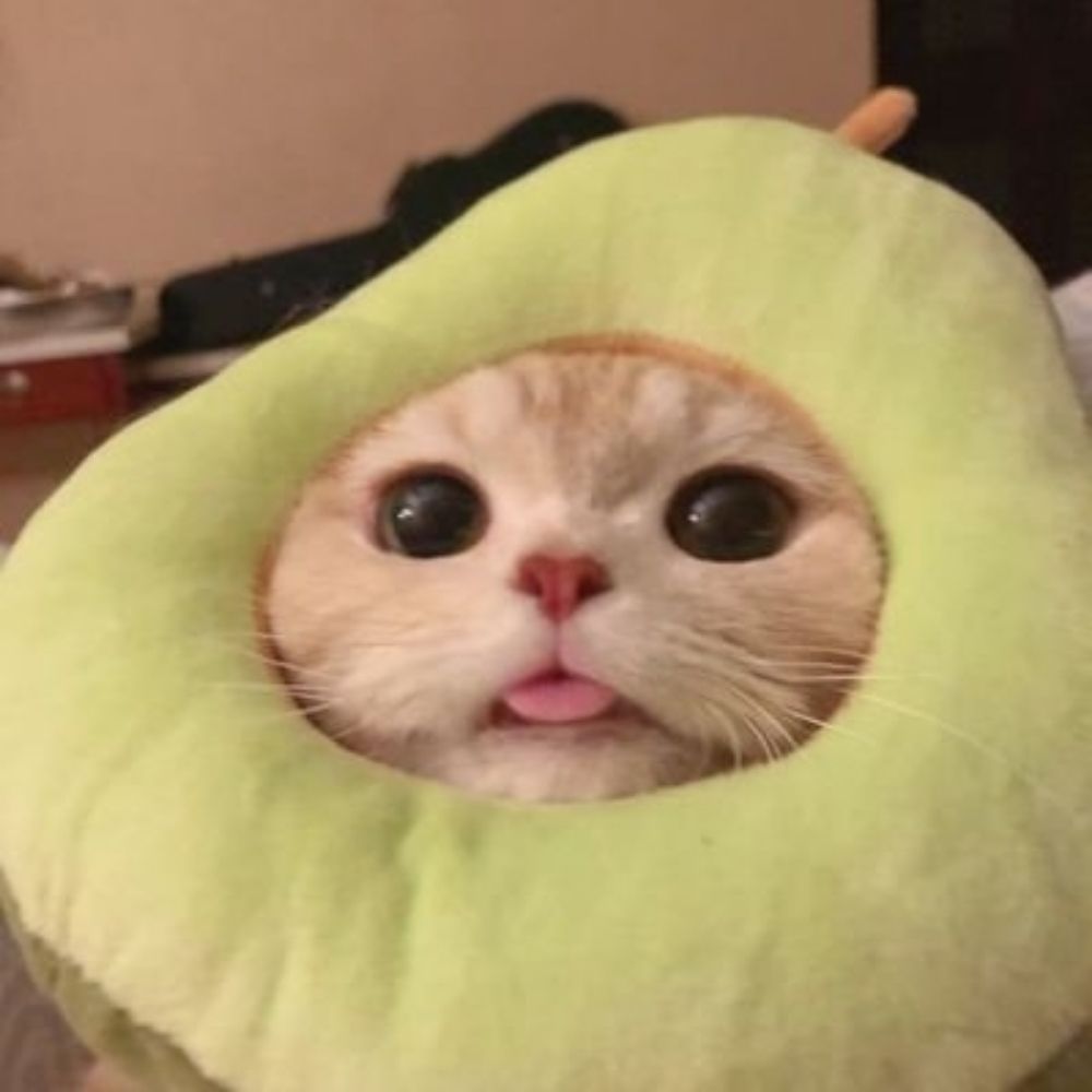 Lua