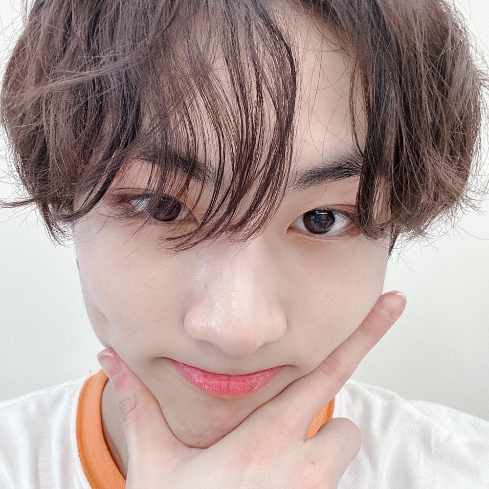 ꜝꜞ ᳝ ࣪ % ( hoshi ) › ࣪ ˖ ⌕