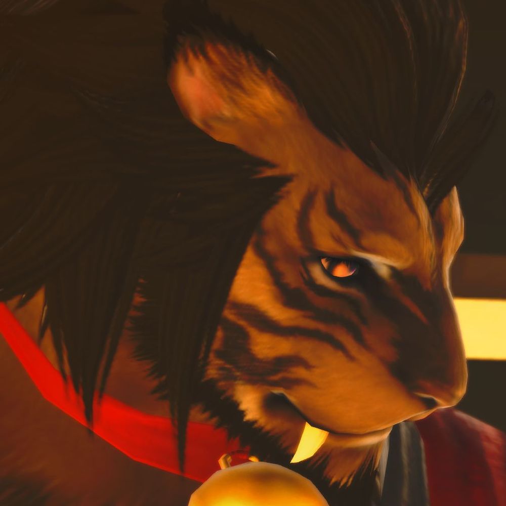 Magical Wildcat