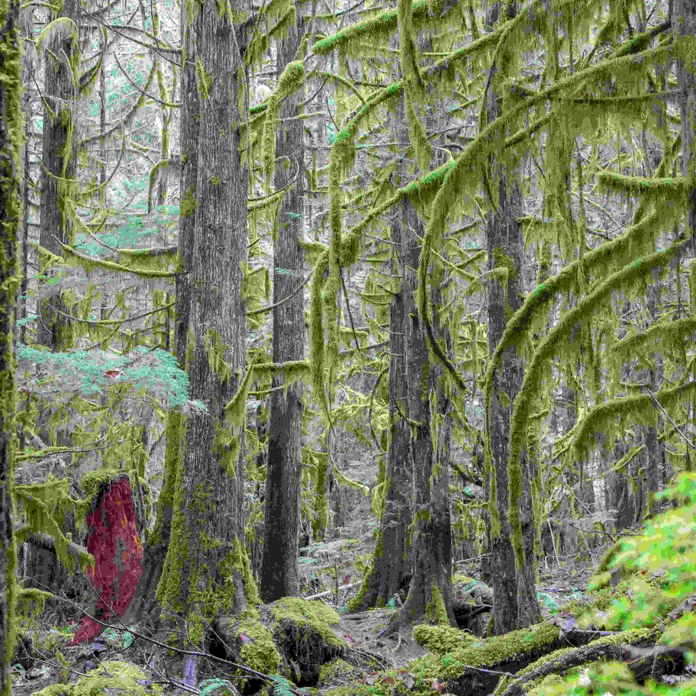 Vancouver Island North Film Commission