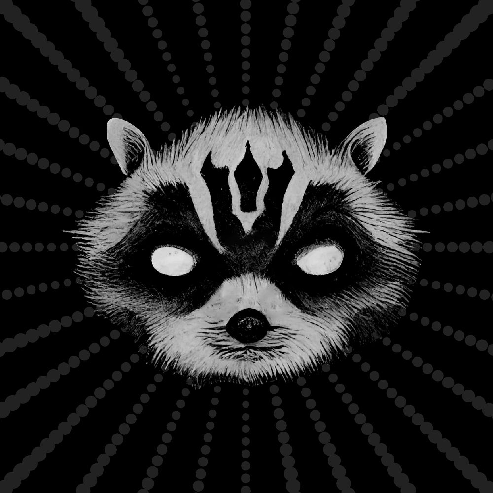 Raccoon Fink Music