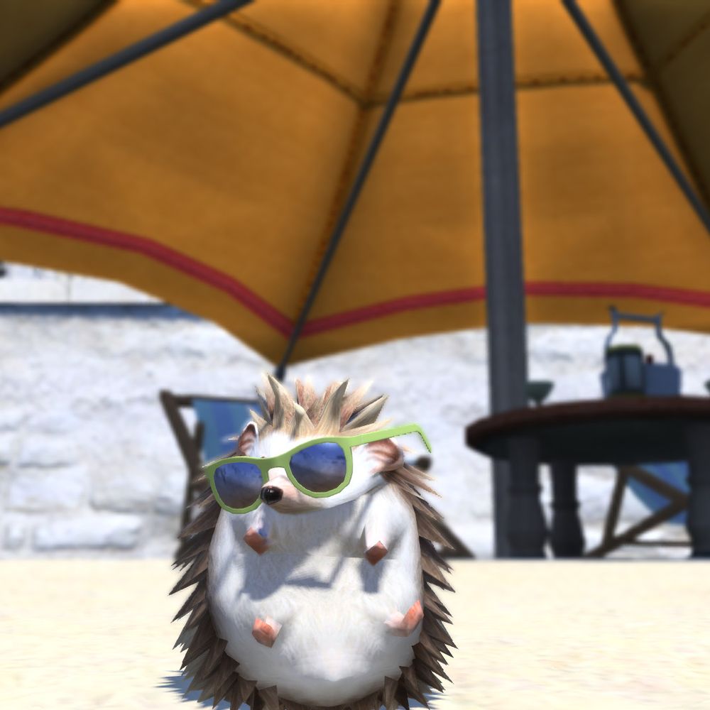 Kaz