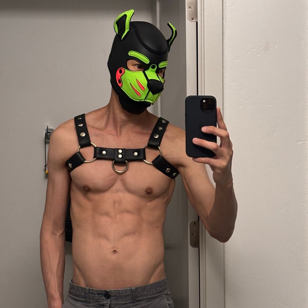 Pup Shiro🔜SouthernDecadence