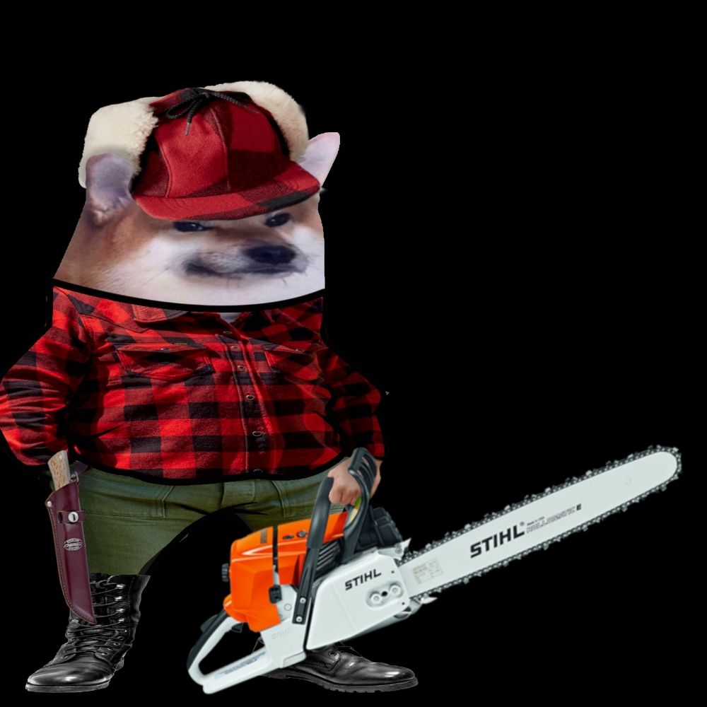 Anda Pajaro 🐾🦊🐝🇪🇺🇪🇸🇺🇦🇬🇪