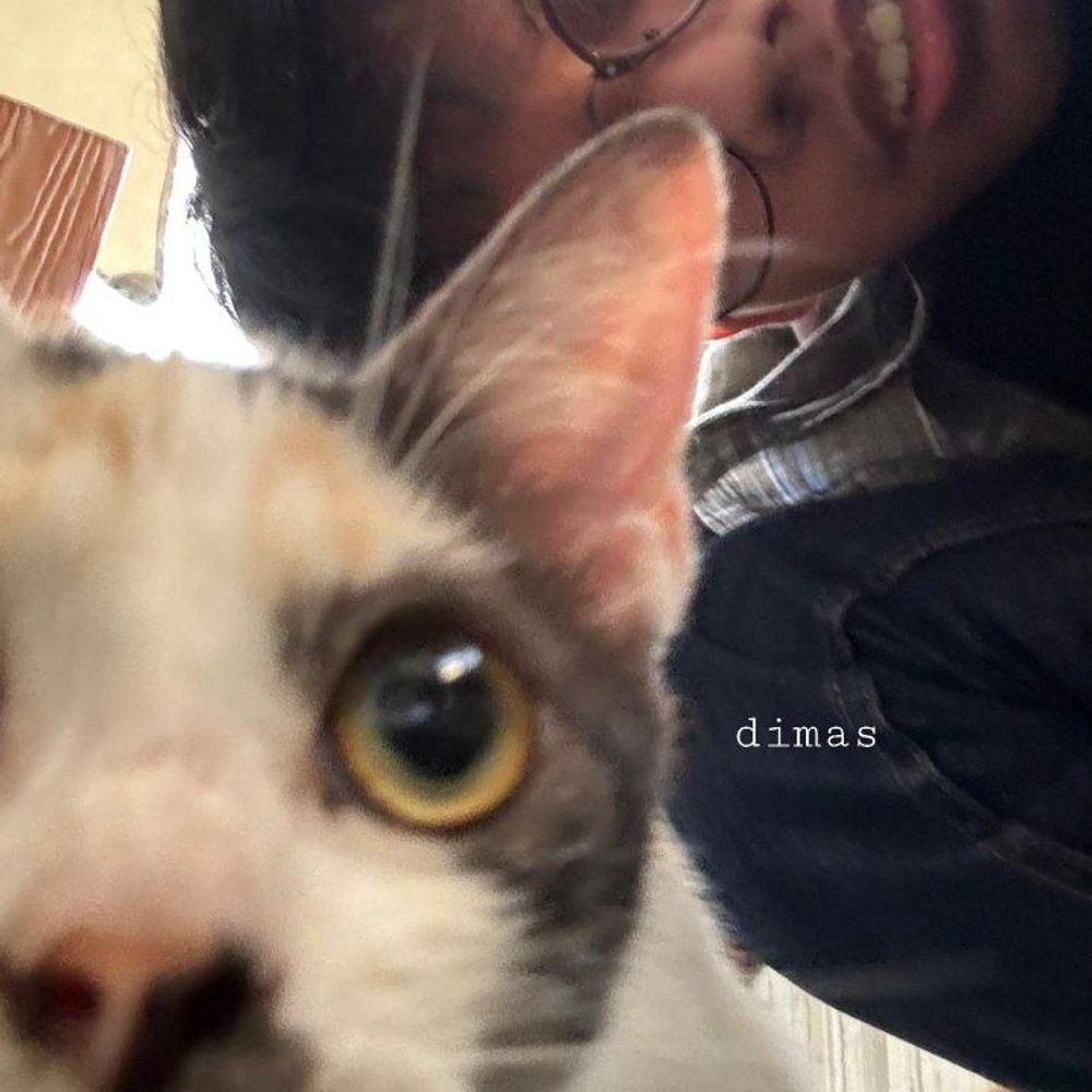 Dimas