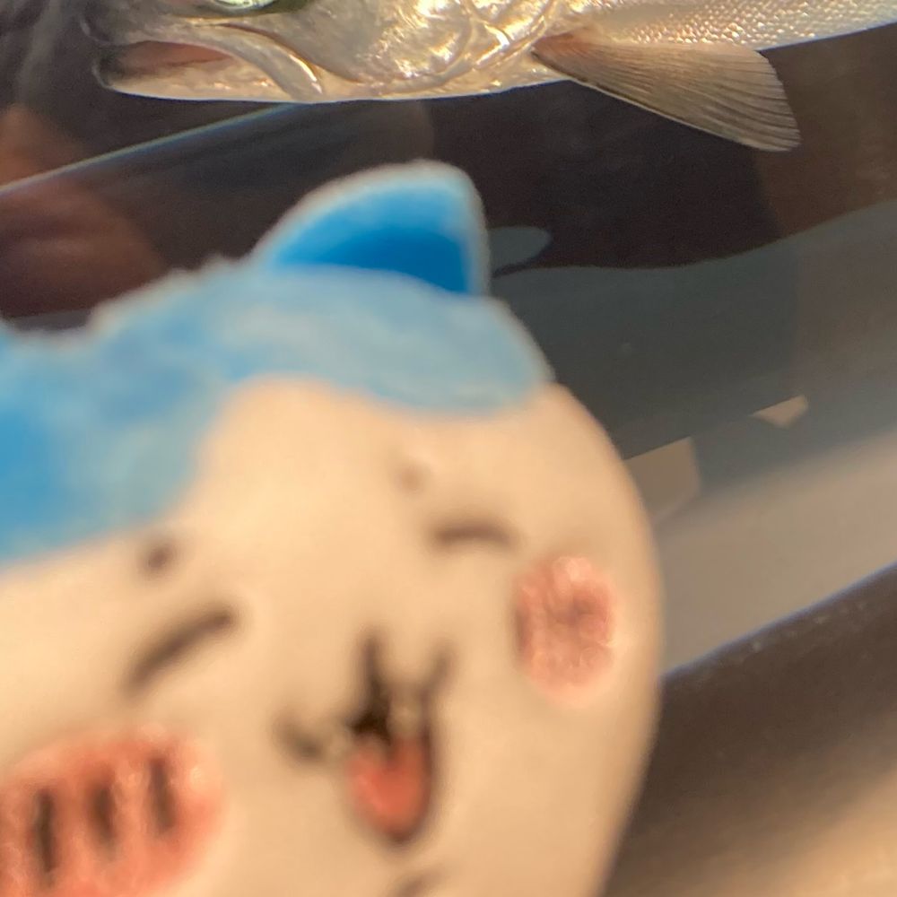 ソイチ