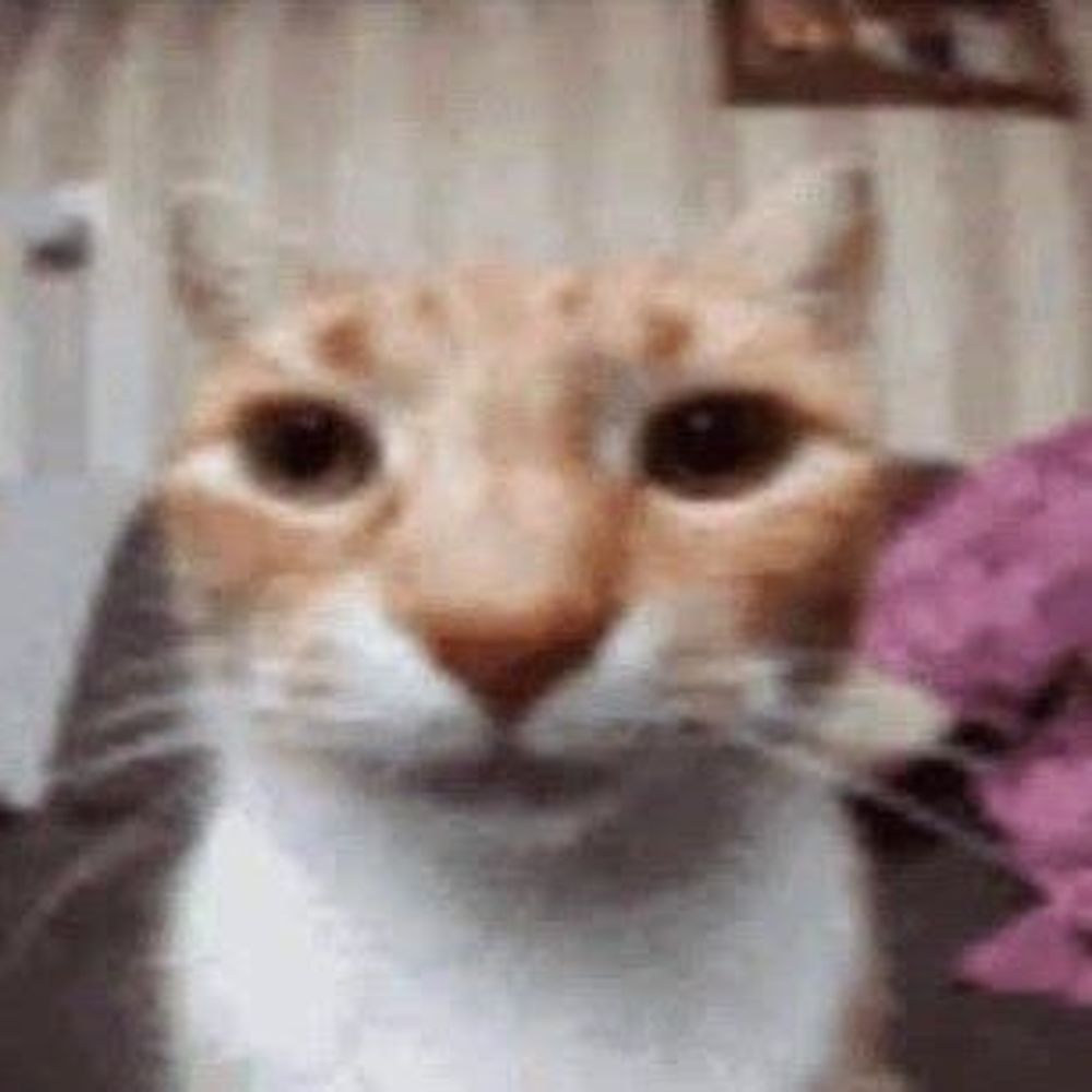 Applebiscuit7