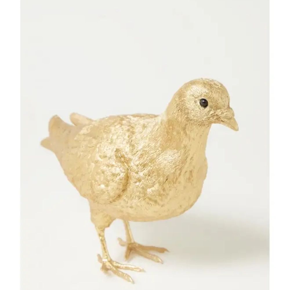 Golden Pigeon