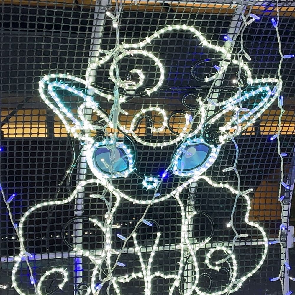 ゆき
