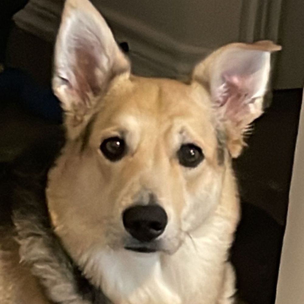 Hanna