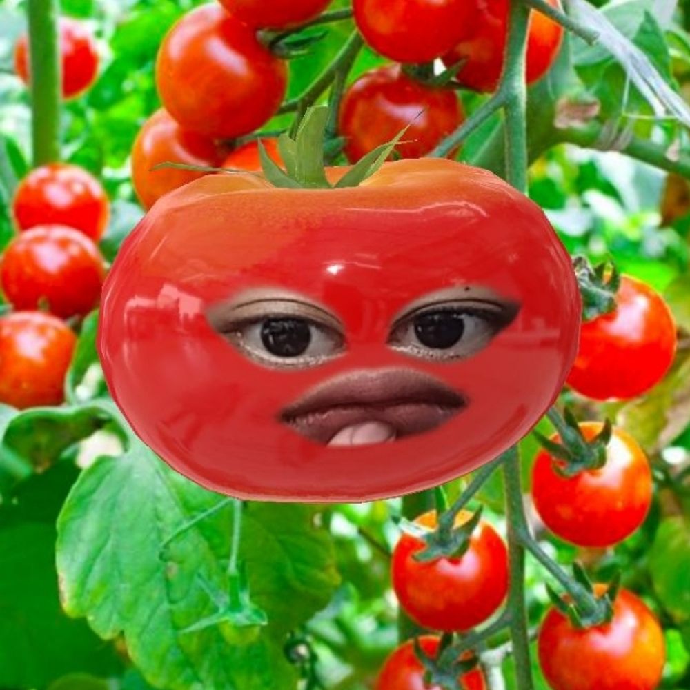 𝙧𝙞𝙡𝙞𝙖 || ₜyᵤₙₐₘᵤ ₐddᵢcₜ 👀